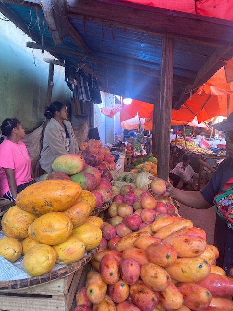 Planning de l’Arbre du Voyage : semaine du mercredi 3 au dimanche 7 décembre 2025