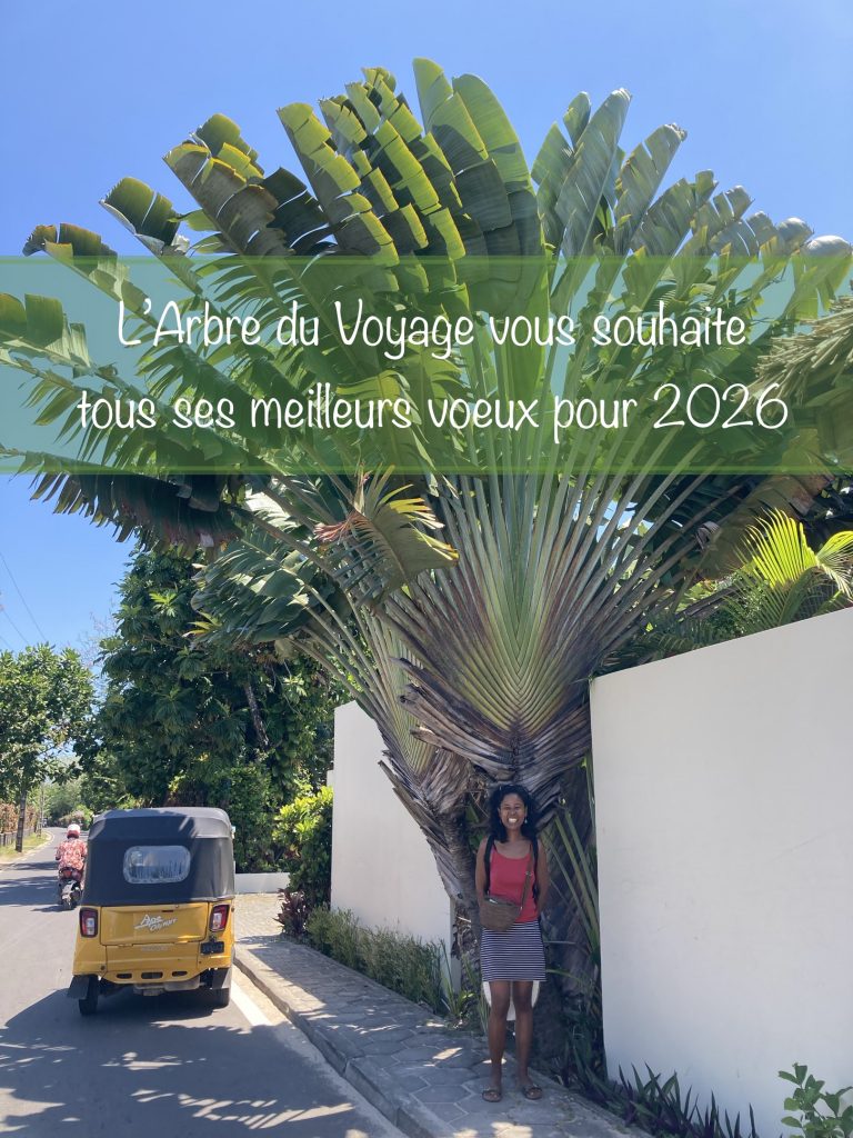 Planning de l&rsquo;Arbre du Voyage : semaine du mercredi 7 au dimanche 11 janvier 2026