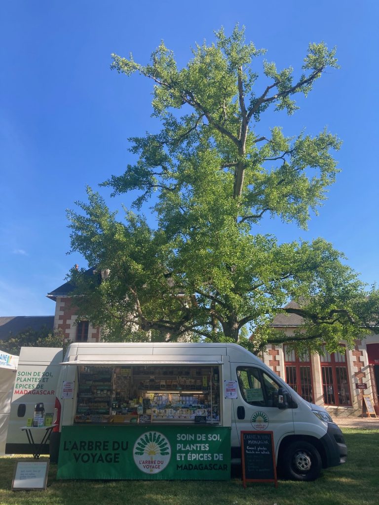 Planning de l&rsquo;Arbre du Voyage : semaine du mardi 28 avril au dimanche 3 mai 2026