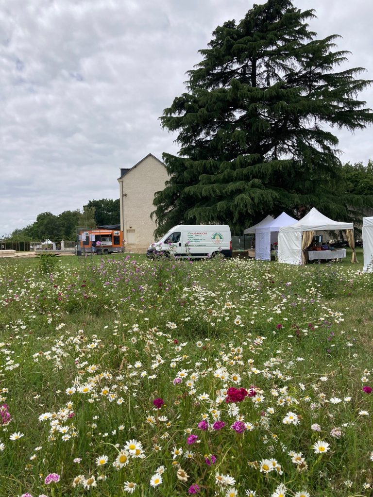 Planning de l&rsquo;Arbre du Voyage : semaine du mercredi 10 au dimanche 14 juin 2026