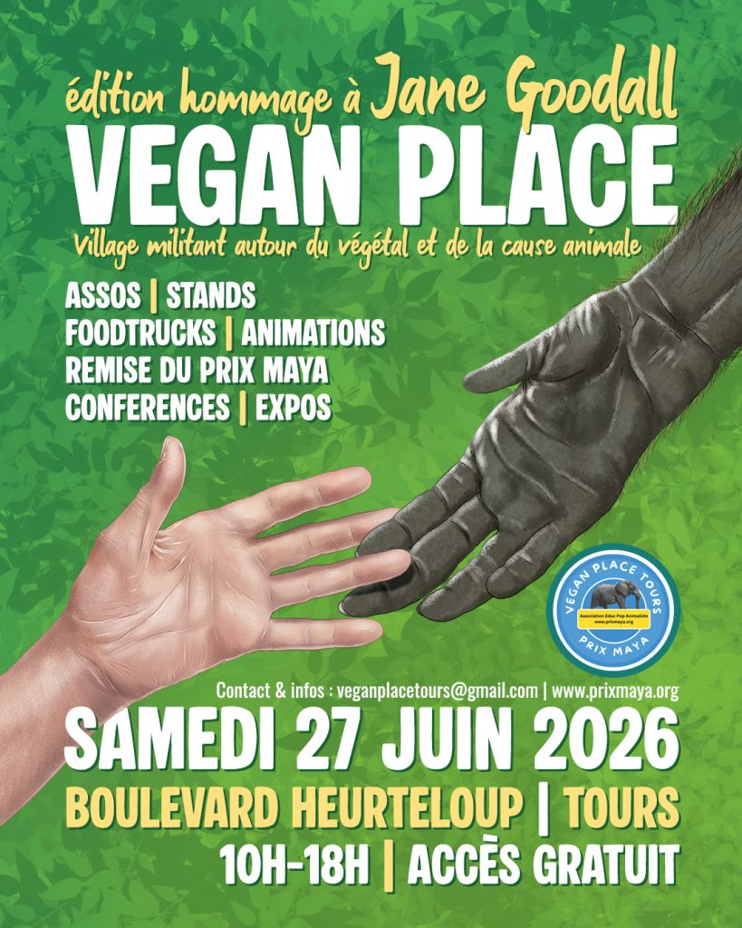 Planning de l&rsquo;Arbre du Voyage : semaine du mercredi 24 au dimanche 28 juin 2026
