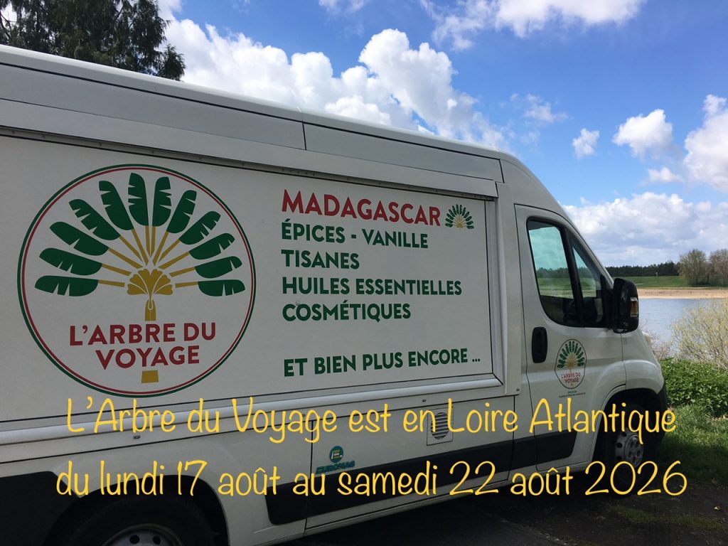 L&rsquo;Arbre du Voyage est en Loire-Atlantique du lundi 17 août au samedi 22 août 2026 !